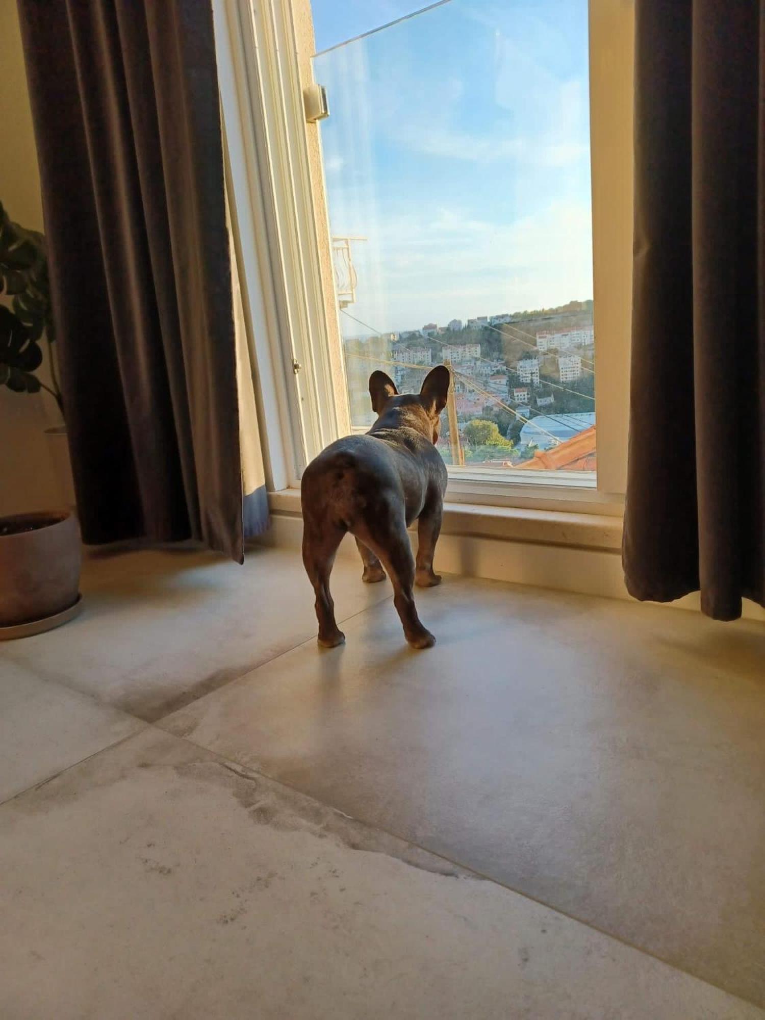 Apartment Eni Dubrovnik Kültér fotó